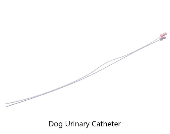 urinary-catheter-5z-z1601177345213